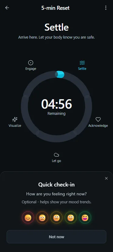 Vayvio Reset in the Settle phase with the optional quick check-in open.
